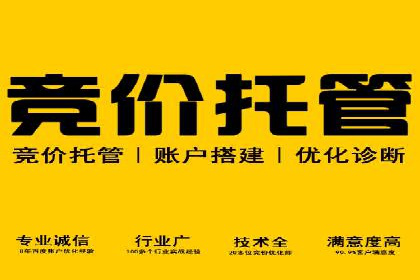 SEM托管实战：某电商平台的成功经验
